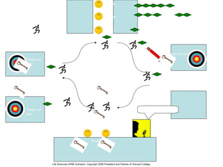 mulut
perut
usus
Pancreas
ß-cells
Target sel
otot
Target sel
hati
Target sel otak
Peredaran darah
“Glucose!! Release the insulin!”
Insulin telah
diteruskan
menargetkan sel
ke.target sekarang
dapat menerima
glukosahttp://commons.wikimedia.org/wiki/File:Pictgram_running_man.svg
http://en.wikipedia.org/wiki/File:Archery_Target_80cm.svg
http://en.wikipedia.org/wiki/File:Llave_bronce.jpg
http://commons.wikimedia.org/wiki/File:Day-template.svg
http://commons.wikimedia.org/wiki/File:Icon_announcer.svg
Life Sciences-HHMI Outreach. Copyright 2009 President and Fellows of Harvard College.
 