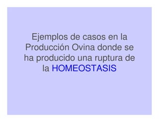 Ejemplos de casos en la
Producción Ovina donde se
ha producido una ruptura de
la HOMEOSTASIS
 