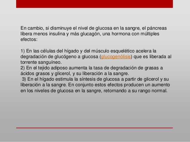 Homeostasis essay pdf image