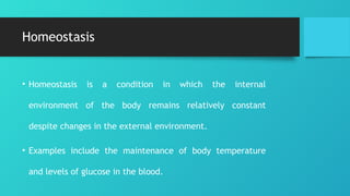 Homeostasis- Vinyas 132123123222333399iejb | PPTX