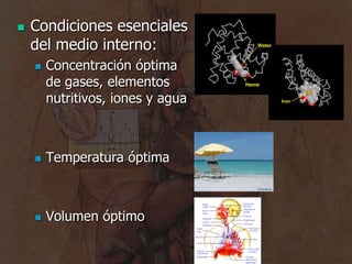 <ul><li>Condicionesesenciales del mediointerno:
