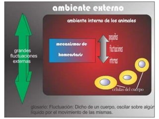 Concentraciónóptima de gases, elementosnutritivos, iones y agua