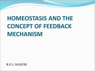 HOMEOSTASIS AND THE
CONCEPT OF FEEDBACK
MECHANISM
R.E.J. MASESE
 