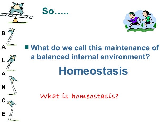 themes ppt