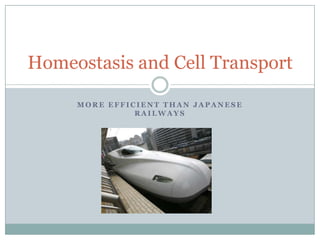 Homeostasis and Cell Transport

     MORE EFFICIENT THAN JAPANESE
               RAILWAYS
 
