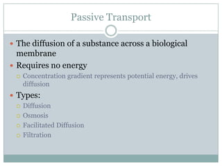 Homeostasis And Cell Transport