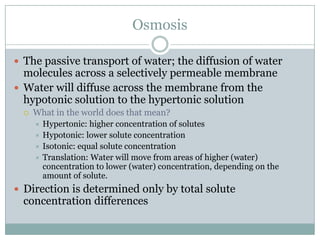 Homeostasis And Cell Transport