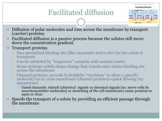 Homeostasis And Cell Transport