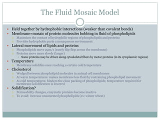 Homeostasis And Cell Transport