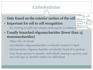 Homeostasis And Cell Transport