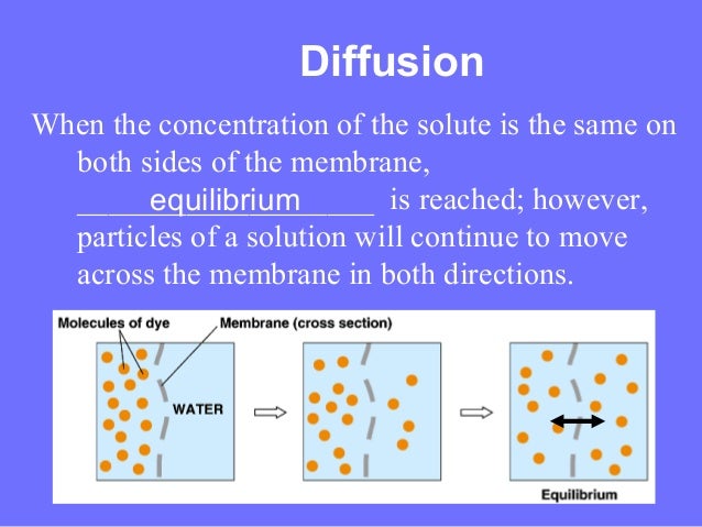 cell transport and homeostasis Homeostasis and transport cell growth and reproduction facilitate the transport of materials within a cell explain how organisms maintain homeostasis. cell transport and homeostasis Homeostasis and transport cell growth and reproduction facilitate the transport of materials within a cell explain how organisms maintain homeostasis.