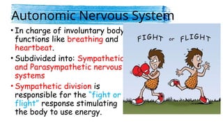 Homeostasis and the Nervous Systems.pptx