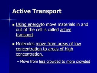Homeostasis and transport (part 2) | PPT