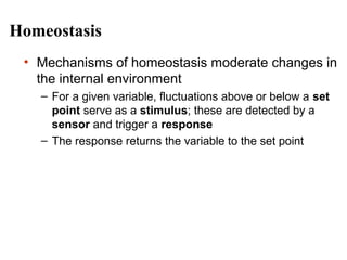 Homeostasis
• Mechanisms of homeostasis moderate changes in
the internal environment
– For a given variable, fluctuations above or below a set
point serve as a stimulus; these are detected by a
sensor and trigger a response
– The response returns the variable to the set point

 
