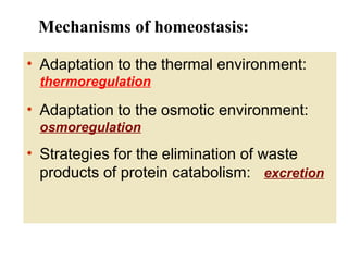 Mechanisms of homeostasis:
• Adaptation to the thermal environment:
thermoregulation

• Adaptation to the osmotic environment:
osmoregulation

• Strategies for the elimination of waste
products of protein catabolism: excretion

 