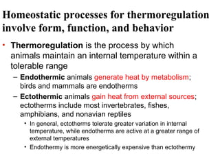 Homeostatic processes for thermoregulation
involve form, function, and behavior
• Thermoregulation is the process by which
animals maintain an internal temperature within a
tolerable range
– Endothermic animals generate heat by metabolism;
birds and mammals are endotherms
– Ectothermic animals gain heat from external sources;
ectotherms include most invertebrates, fishes,
amphibians, and nonavian reptiles
• In general, ectotherms tolerate greater variation in internal
temperature, while endotherms are active at a greater range of
external temperatures
• Endothermy is more energetically expensive than ectothermy

 