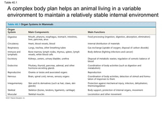 Table 40.1

A complex body plan helps an animal living in a variable
environment to maintain a relatively stable internal environment

 