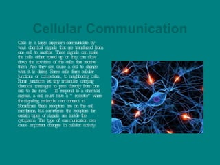 Cellular Communication Cells in a large organism communicate by ways chemical signals that are transferred from one cell to another. These signals can make the cells either speed up or they can slow down the activities of the cells that receive them. Also they can cause a cell to change what it is doing. Some cells form cellular junctions or connections, to neighboring cells. Some junctions let tiny molecules carrying chemical messages to pass directly from one cell to the next.  To respond to a chemical signals, a cell must have a “receptor” where the   signaling molecule can connect to. Sometimes these receptors are on the cell membrane, but sometimes the receptors for certain types of signals are inside the cytoplasm. This type of communication can cause important changes in cellular activity.  