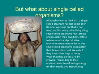 But what about single celled organisms? Although one may think that a single celled organism has less going on in its inner workings but that is not true. Just like every other living thing single celled organisms must create and maintain their own homeostasis to have a safe and productive interior environment to live in. yes single celled organisms do maintain their homeostasis just like us but they have other ways of doing it. Ways that they do this are  by growing, responding to their environments, transforming energy for their needs, and reproducing.  