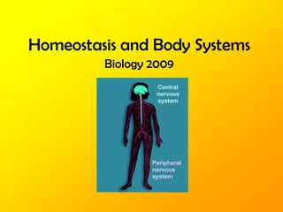 Homeostasis and Body Systems Biology 2009 