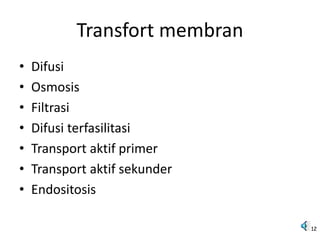 Transfort membran
• Difusi
• Osmosis
• Filtrasi
• Difusi terfasilitasi
• Transport aktif primer
• Transport aktif sekunder
• Endositosis
12
 