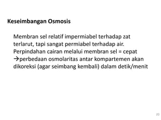 Keseimbangan Osmosis
Membran sel relatif impermiabel terhadap zat
terlarut, tapi sangat permiabel terhadap air.
Perpindahan cairan melalui membran sel = cepat
perbedaan osmolaritas antar kompartemen akan
dikoreksi (agar seimbang kembali) dalam detik/menit
20
 