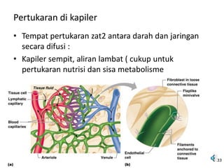Pertukaran di kapiler
• Tempat pertukaran zat2 antara darah dan jaringan
secara difusi :
• Kapiler sempit, aliran lambat ( cukup untuk
pertukaran nutrisi dan sisa metabolisme
33
 