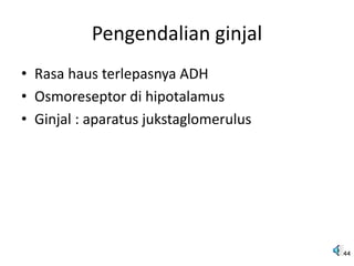 Pengendalian ginjal
• Rasa haus terlepasnya ADH
• Osmoreseptor di hipotalamus
• Ginjal : aparatus jukstaglomerulus
44
 