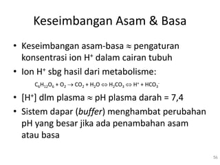 Keseimbangan Asam & Basa
• Keseimbangan asam-basa  pengaturan
konsentrasi ion H+ dalam cairan tubuh
• Ion H+ sbg hasil dari metabolisme:
C6H12O6 + O2  CO2 + H2O  H2CO3  H+ + HCO3
-
• [H+] dlm plasma  pH plasma darah = 7,4
• Sistem dapar (buffer) menghambat perubahan
pH yang besar jika ada penambahan asam
atau basa
56
 