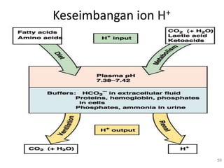 Keseimbangan ion H+
59
 
