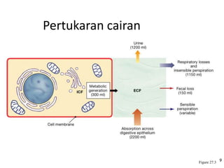 Pertukaran cairan
9
Figure 27.3
 