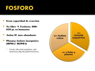    Gran capacidad de reacción

   No libre  Fosfatos. 600-
    650 gr en humanos

   Anión IC más abundante

   Plasma: fosfato inorgánico
    (HPO4/ H2PO4)

       Circula: 10% unido a proteínas, 25%
        cationes Ca, Mg, Na, 65% forma iónica
 