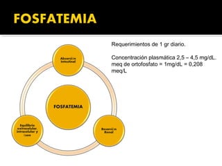 Requerimientos de 1 gr diario.

Concentración plasmática 2,5 – 4,5 mg/dL.
meq de ortofosfato = 1mg/dL = 0,208
meq/L
 