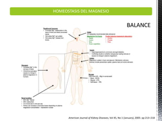 HOMEOSTASIS DEL MAGNESIO
American Journal of Kidney Diseases, Vol 45, No 1 (January), 2005: pp 213–218
 