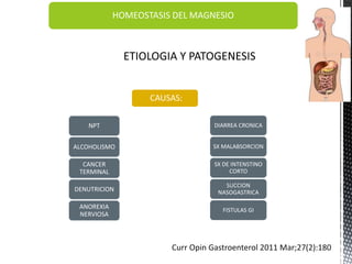 HOMEOSTASIS DEL MAGNESIO
NPT
ALCOHOLISMO
CANCER
TERMINAL
DENUTRICION
ANOREXIA
NERVIOSA
DIARREA CRONICA
SX MALABSORCION
SX DE INTENSTINO
CORTO
SUCCION
NASOGASTRICA
FISTULAS GI
Curr Opin Gastroenterol 2011 Mar;27(2):180
CAUSAS:
 