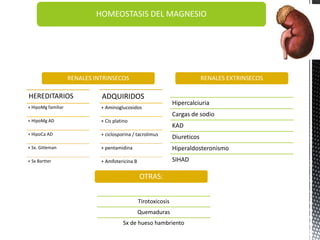HOMEOSTASIS DEL MAGNESIO
HEREDITARIOS
+ HipoMg familiar
+ HipoMg AD
+ HipoCa AD
+ Sx. Gitleman
+ Sx Bartter
ADQUIRIDOS
+ Aminoglucosidos
+ Cis platino
+ ciclosporina / tacrolimus
+ pentamidina
+ Amfotericina B
RENALES INTRINSECOS RENALES EXTRINSECOS
Hipercalciuria
Cargas de sodio
KAD
Diureticos
Hiperaldosteronismo
SIHAD
OTRAS:
Tirotoxicosis
Quemaduras
Sx de hueso hambriento
 