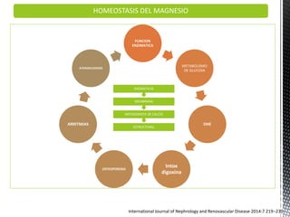 HOMEOSTASIS DEL MAGNESIO
International Journal of Nephrology and Renovascular Disease 2014:7 219–230
FUNCION
ENZIMATICA
METABOLISMO
DE GLUCOSA
DHE
Intox
digoxina
OSTEOPOROSIS
ARRITMIAS
ATEROSCLEROSIS
ESTRUCTURAL
ANTAGONISTA DE CALCIO
MEMBRANA
ENZMATICAS
 