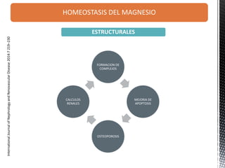 HOMEOSTASIS DEL MAGNESIO
InternationalJournalofNephrologyandRenovascularDisease2014:7219–230
FORMACION DE
COMPLEJOS
MEJORIA DE
APOPTOSIS
OSTEOPOROSIS
CALCULOS
RENALES
ESTRUCTURALES
 