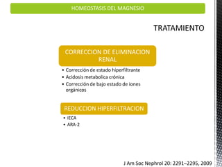 HOMEOSTASIS DEL MAGNESIO
CORRECCION DE ELIMINACION
RENAL
• Corrección de estado hiperfiltrante
• Acidosis metabolica crónica
• Corrección de bajo estado de iones
orgánicos
REDUCCION HIPERFILTRACION
• IECA
• ARA-2
J Am Soc Nephrol 20: 2291–2295, 2009
 