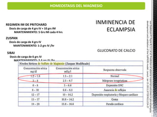 • Reflejo patelar
• Frecuencia respiratoria
• Frecuencia cardiaca
• Volumen minuto urinario
REGIMEN IM DE PRITCHARD
Dosis de carga de 4 grs IV + 10 grs IM
MANTENIMIENTO: 5 Grs IM cada 4 hrs
ZUSPAN
Dosis de carga de 4 grs IV
MANTENIMIENTO: 1-2 grs IV /hr
SIBAI
Dosis de carga de 6 grs IV
MANTENIMIENTO: 2-3 grs IV /hr
vonDadelszenP,PayneB,LiJ,etal.Predictionofadversematernaloutcomesinpre-eclampsia:
developmentandvalidationofthefullPIERSmodel.Lancet.Jan152011;377(9761):219-27
GLUCONATO DE CALCIO
HOMEOSTASIS DEL MAGNESIO
 