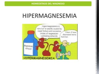 HOMEOSTASIS DEL MAGNESIO
HIPERMAGNESEMIA
 