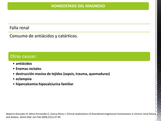 HOMEOSTASIS DEL MAGNESIO
Navarro-Gonzalez JF, Mora-Fernandez C, Garcia-Perez J. Clinical implications of disordered magnesium homeostasis in chronic renal failure
and dialysis. Semin Dial. Jan-Feb 2009;22(1):37-44
Falla renal
Consumo de antiácidos y catárticos.
Otras causas:
• antiácidos
• Enemas rectales
• destrucción masiva de tejidos (sepsis, trauma, quemaduras)
• eclampsia
• hipercalcemia hipocalciurica familiar
 