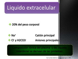  20% del peso corporal
 Na+ Catión principal
 Cl- y H2CO3- Aniones principales
Composición iónica del plasma y del líquido
intersticial se derivan de las proteínas
Rev Fac Med UNAM Vol. 51 No. 4 Julio-Agosto, 2008
Liquido extracelular
 