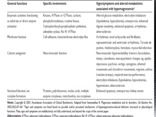 HOMEOSTASIS DEL MAGNESIO 