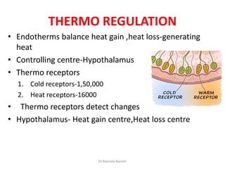 HOMEOSTASIS-GLUCOSE AND THERMO REGULATION | PDF