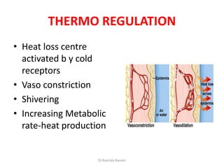 HOMEOSTASIS-GLUCOSE AND THERMO REGULATION | PDF