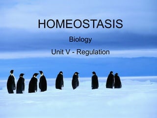 HOMEOSTASIS
Biology
Unit V - Regulation
 