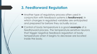 Homeostasis FULL (1 PROF).pptx full body regulation | PPTX