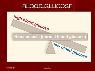 03/18/1603/18/16 15:5415:54 cottinghamcottingham
BLOOD GLUCOSEBLOOD GLUCOSECopyright © The McGraw-Hill Companies, Inc. Permission required for reproduction or display.
high blood glucose
low blood glucose
Homeostasis (normal blood glucose)
 
