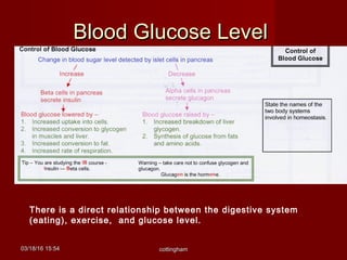 03/18/1603/18/16 15:5415:54 cottinghamcottingham
Blood Glucose LevelBlood Glucose Level
There is a direct relationship between the digestive system
(eating), exercise, and glucose level.
 
